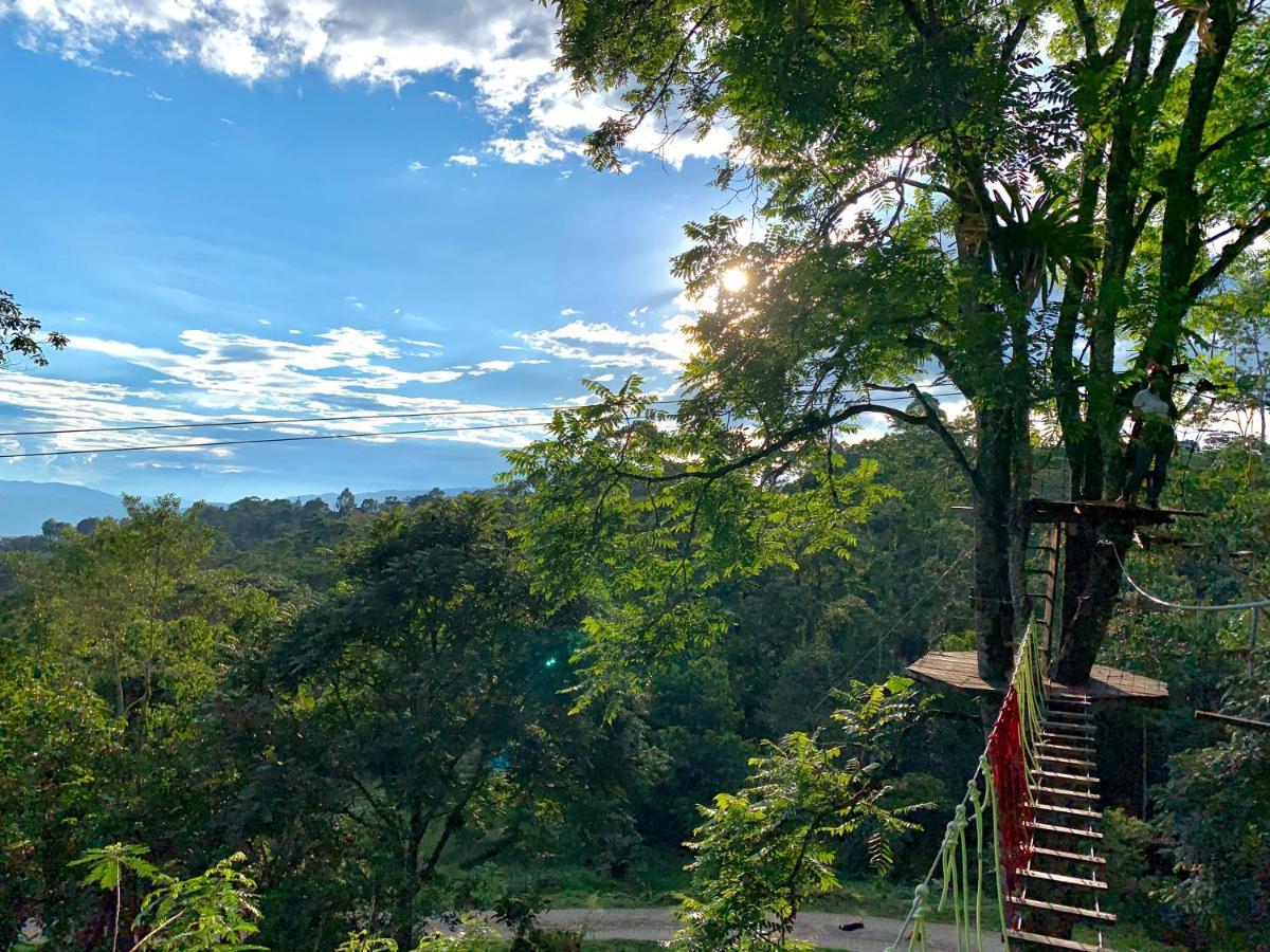 فندق لا ميسافي  Refugio Del Bosque Glamping المظهر الخارجي الصورة